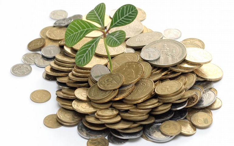 Mynter, haug 13092011 