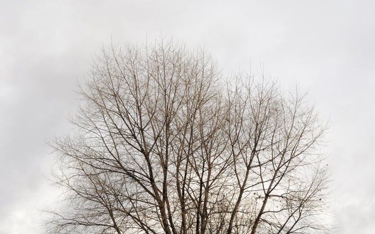 Sorg, tre mot himmel