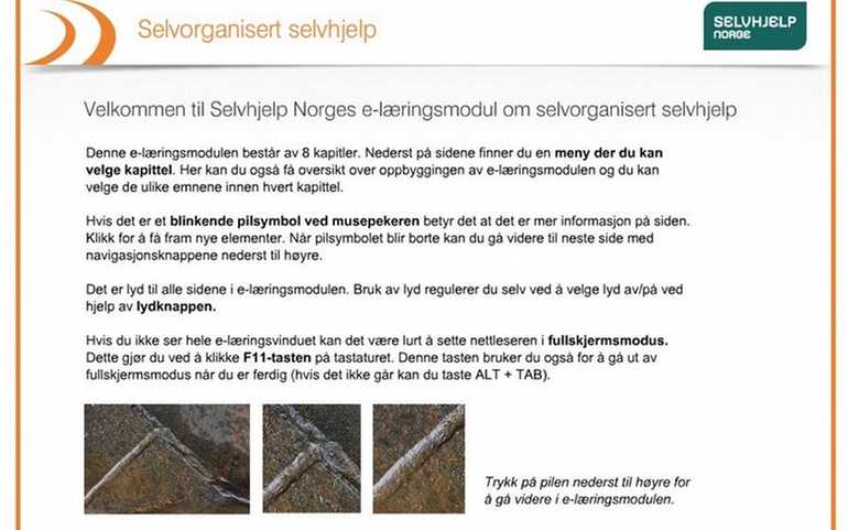 Selvorganisert Selvhjelp - e-læringsressurs