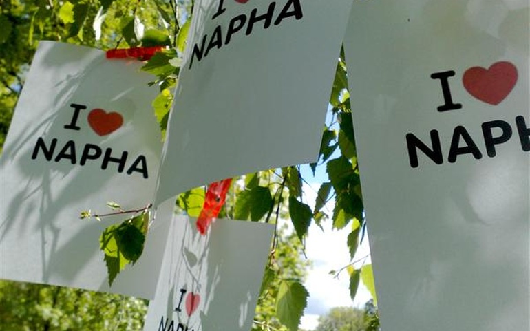 Ill.foto: I love Napha