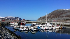 KJøllefjord