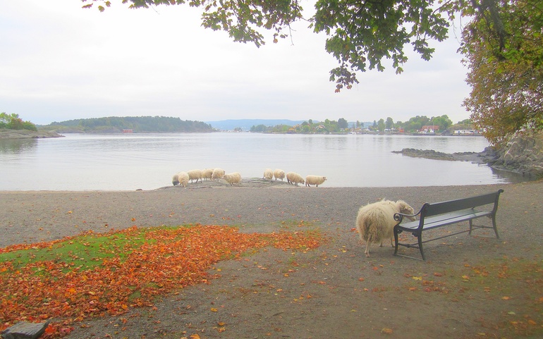 Sauer-Hovedøya-høst-utenforskap